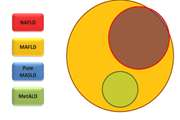 Comparison of prevalence of fatty liver disease according to the different nomenclatures of NAFLD, MAFLD, and MASLD in a large Iranian Population-based study