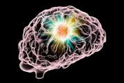 Pre‑diagnostic risk factors for brain cancer incidence and survival: insights from the Golestan Cohort Study