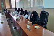 برگزاری کارگاه آموزشی ترجمان دانش با هدف ارتقای توانمندی مراکز تحقیقاتی