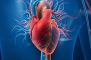 Global Impact of Fixed-Dose Combination Therapies on Cardiovascular Mortality and Events, 2023-2050
