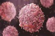 Risk of Second Primary Neoplasms Among Cancer Survivors: A Population-Based, Cohort Study in Golestan Province, Northern Iran, 2004-2019