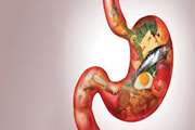 Development of a Digestive Cancer Risk Score Based on Nutritional Predictors: A Risk Prediction Model in the Golestan Cohort Study